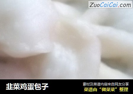 韭菜鸡蛋包子