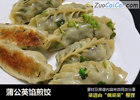 蒲公英馅煎饺