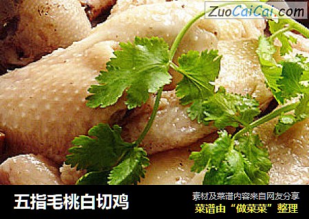 五指毛桃白切鸡