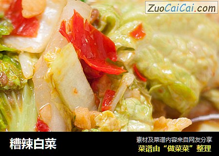 糟辣白菜  