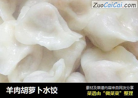 羊肉胡萝卜水饺