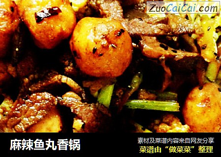 麻辣鱼丸香锅