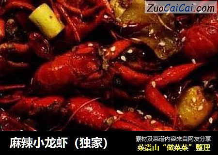 麻辣小龙虾（独家）