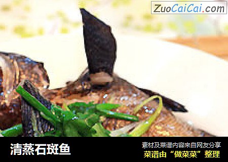 清蒸石斑鱼