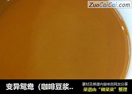 变异鸳鸯（咖啡豆浆红茶）