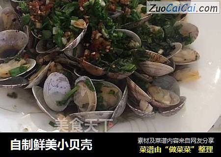 自制鲜美小贝壳