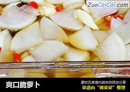 爽口脆萝卜