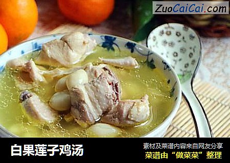 白果莲子鸡汤