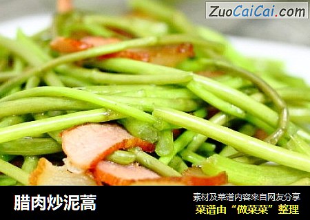腊肉炒泥蒿