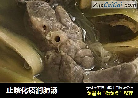止咳化痰润肺汤