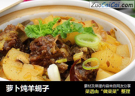萝卜炖羊蝎子