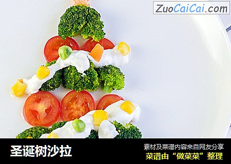 圣诞树沙拉
