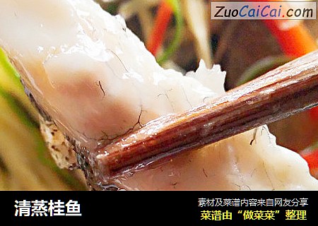 清蒸桂鱼