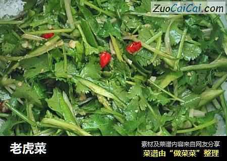 老虎菜