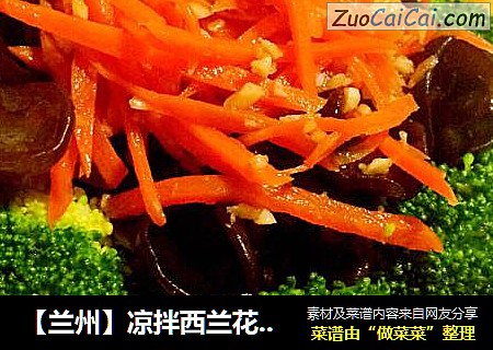 【兰州】凉拌西兰花木耳
