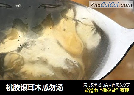 桃胶银耳木瓜勿汤