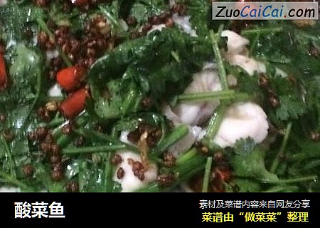 酸菜鱼