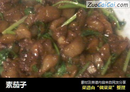 素茄子