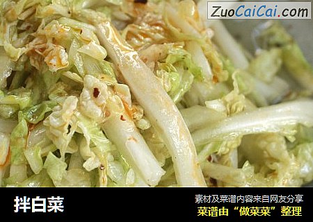 拌白菜
