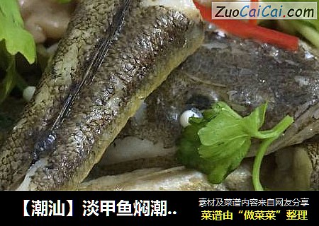【潮汕】淡甲鱼焖潮汕菜脯