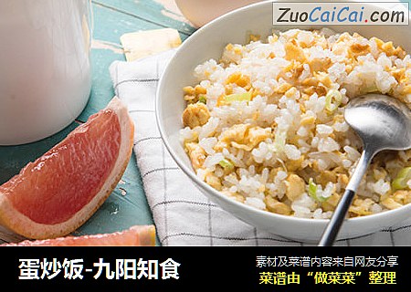 蛋炒饭-九阳知食
