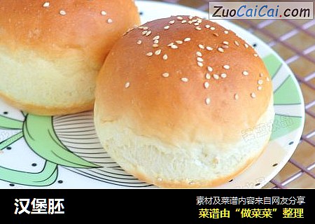 汉堡胚