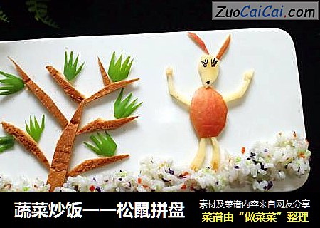 蔬菜炒饭一一松鼠拼盘