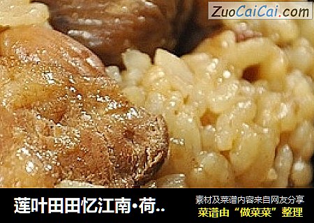莲叶田田忆江南·荷叶栗子肉粽