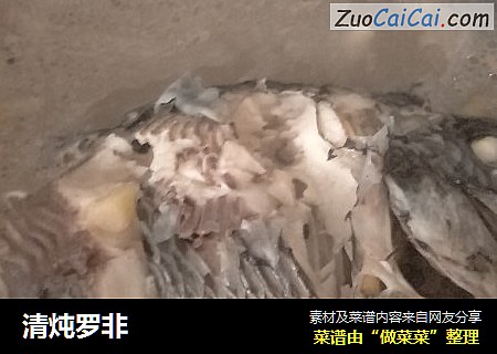 清炖罗非