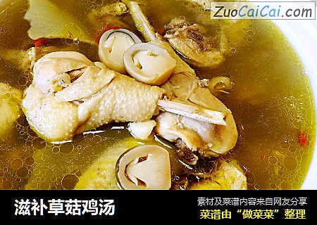 滋补草菇鸡汤
