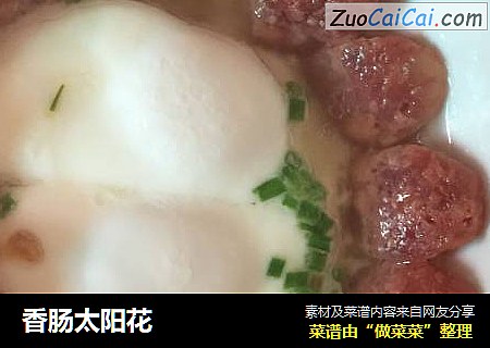 香肠太阳花