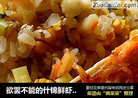欲罢不能的什锦鲜虾炒饭