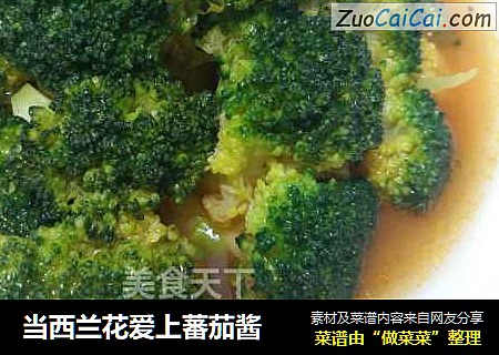 当西兰花爱上蕃茄酱