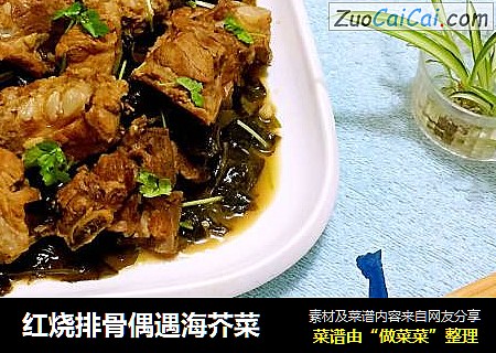 红烧排骨偶遇海芥菜