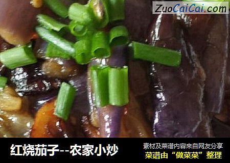 红烧茄子--农家小炒