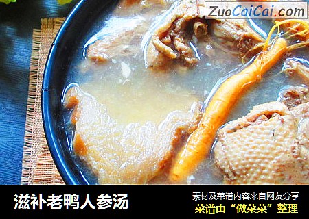 滋补老鸭人参汤