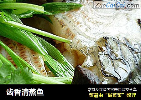 齿香清蒸鱼