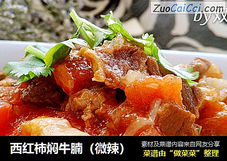 西红柿焖牛腩（微辣）