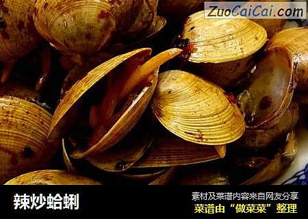 辣炒蛤蜊