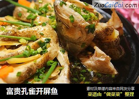 富贵孔雀开屏鱼