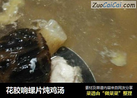 花胶响螺片炖鸡汤