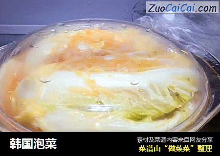 韩国泡菜