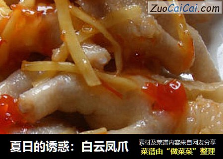 夏日的诱惑：白云凤爪