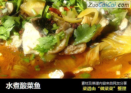 水煮酸菜鱼