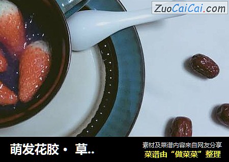 萌发花胶 ·  草莓燕窝