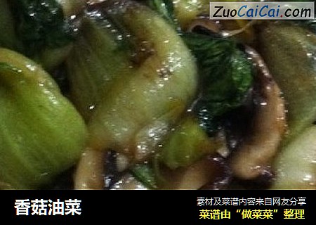 香菇油菜