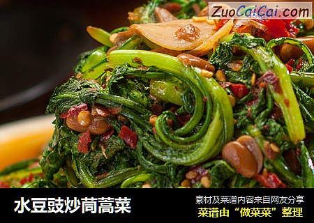 水豆豉炒茼蒿菜
