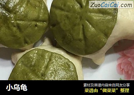 小乌龟