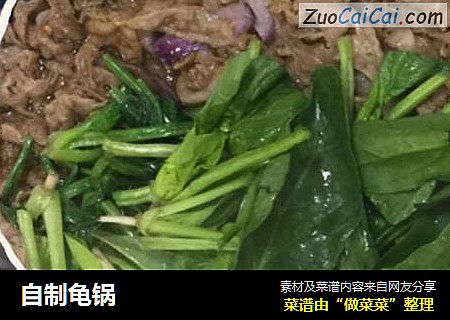 自制龟锅