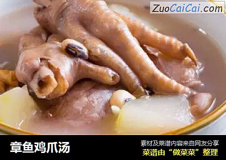 章鱼鸡爪汤